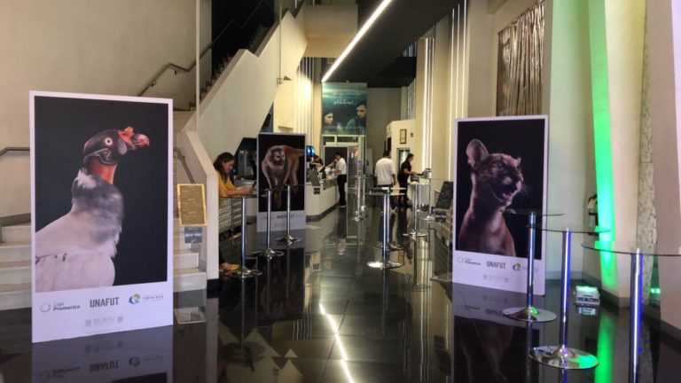 Exposición buscará hacer conciencia sobre la pérdida de biodiversidad animal que afronta el país