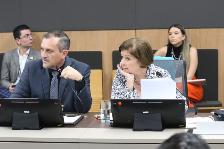 Pilar Cisneros propone penas de cárcel para quien robe electricidad