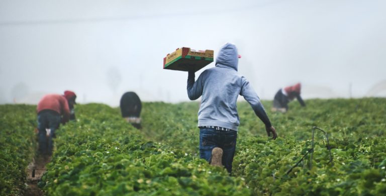 Colectivo Mujeres por Costa Rica manifiesta oposición a jornadas laborales de 12 horas 