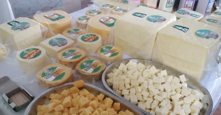Turrialba será la sede de la Expoferia del queso 2023