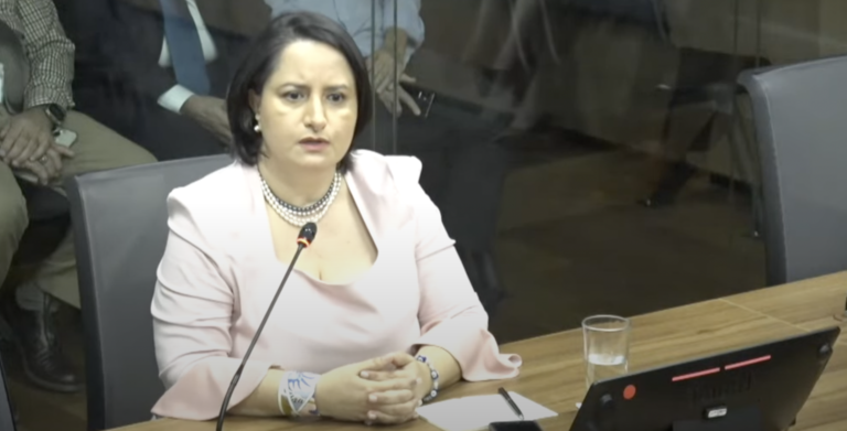 Expresidenta del PANI denuncia presiones para renunciar e interés de Presidencia en hijos de Leonel Baruch