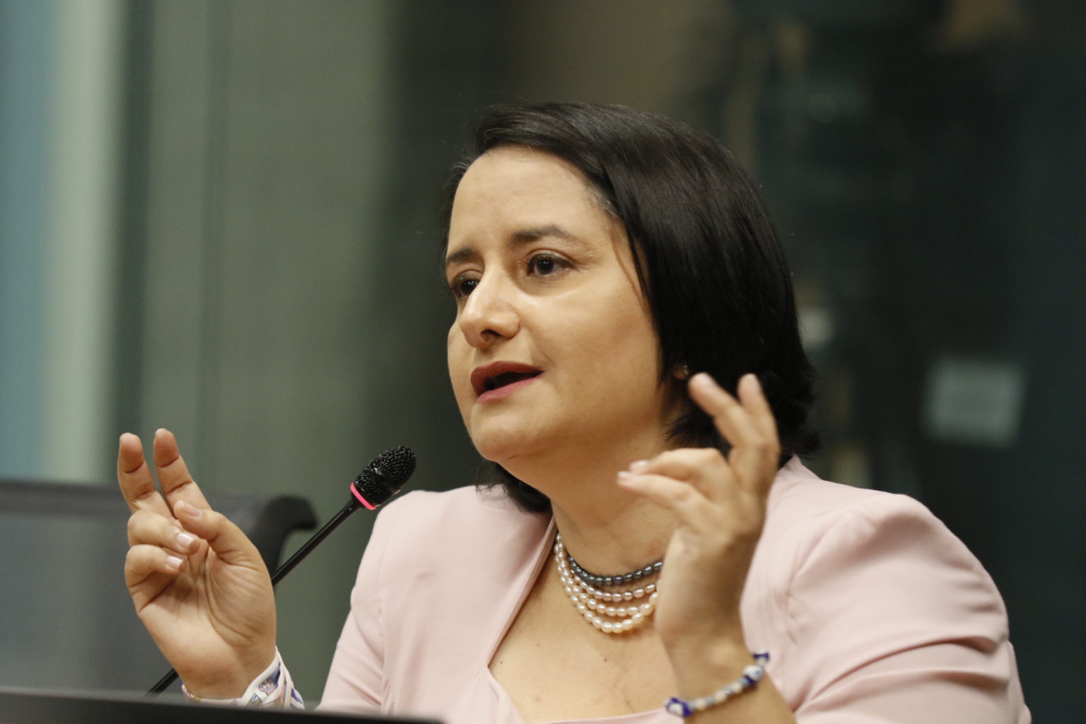 Imagen principal del artículo: Explosiva audiencia de la expresidenta del PANI pone en aprietos a Casa Presidencial