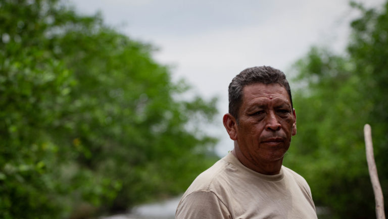 Restauración de manglares en Guatemala brinda esperanza frente a los impactos del cambio climático