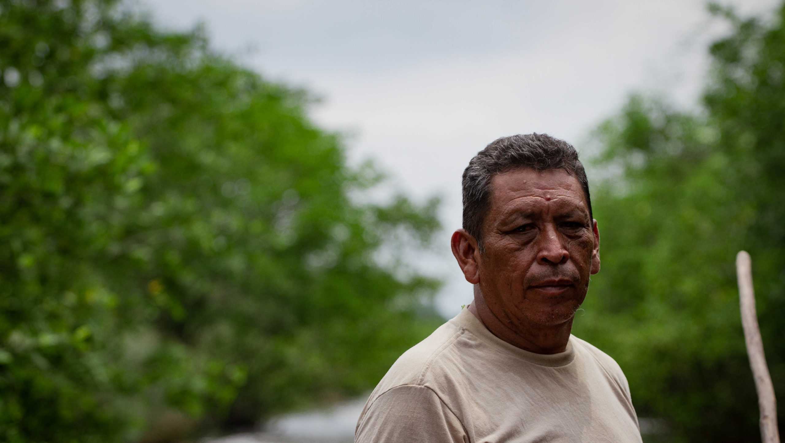 Imagen principal del artículo: Restauración de manglares en Guatemala brinda esperanza frente a los impactos del cambio climático