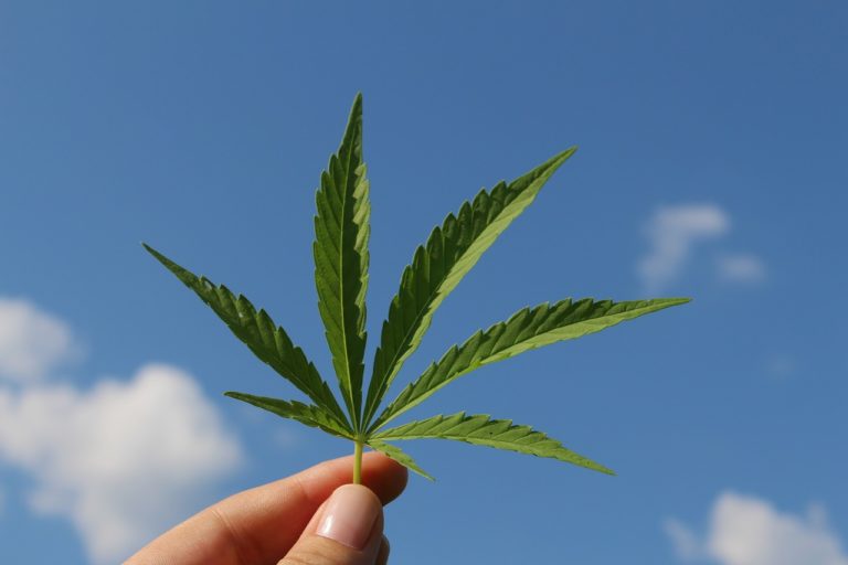 Drogas y salud, prohibición y violencia