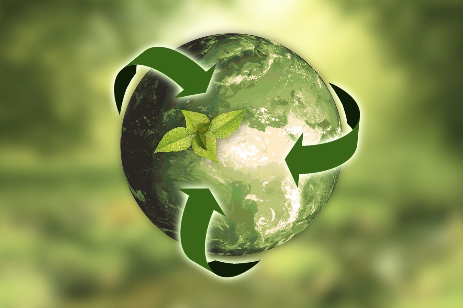 Imagen principal del artículo: La economía circular: un enfoque revolucionario hacia la sostenibilidad