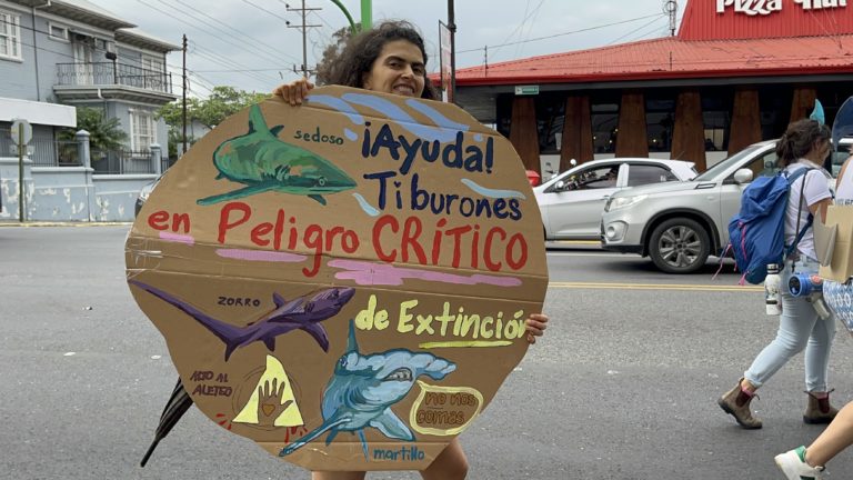 Activistas marcharon por la protección de tiburones en peligro de extinción ¿Qué le piden a la Asamblea Legislativa?