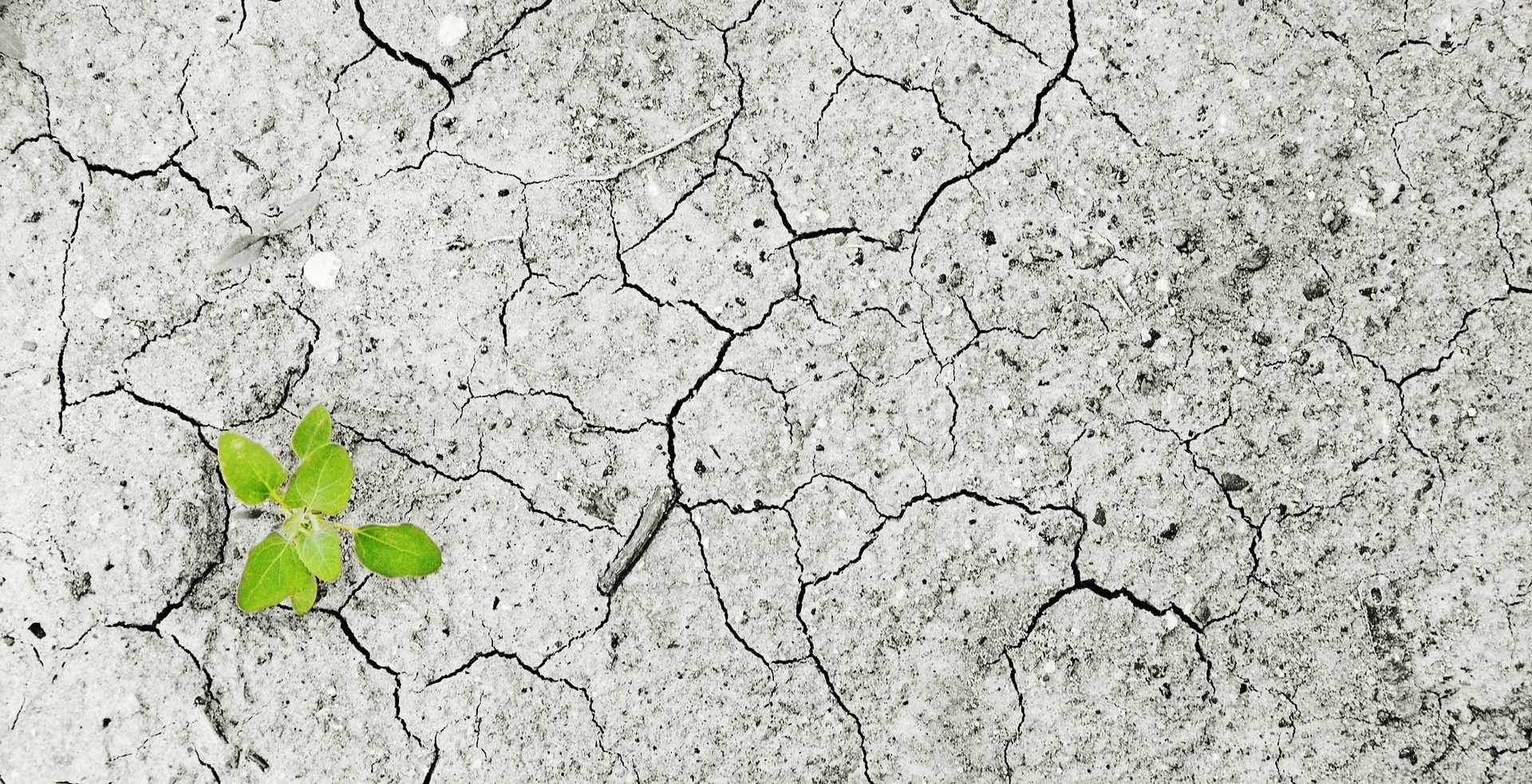 Imagen principal del artículo: Competitividad climática empresarial: el camino hacia el desarrollo sostenible