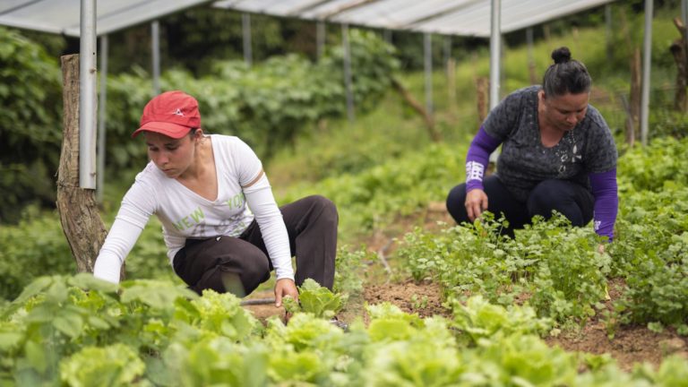 Costa Rica publica plan declarado de interés nacional sobre igualdad de género en la acción por el clima