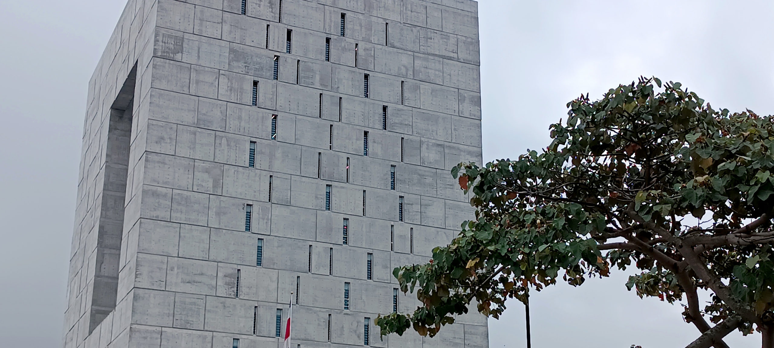 Imagen principal del artículo: Congreso pide convocatoria de 12 proyectos de ley para combatir "epidemia de violencia contra las mujeres"