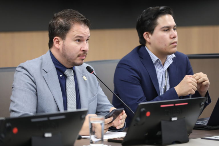 Diputado propone autorizar al Ministerio de Cultura a delegar en privados fondos y actividades públicas