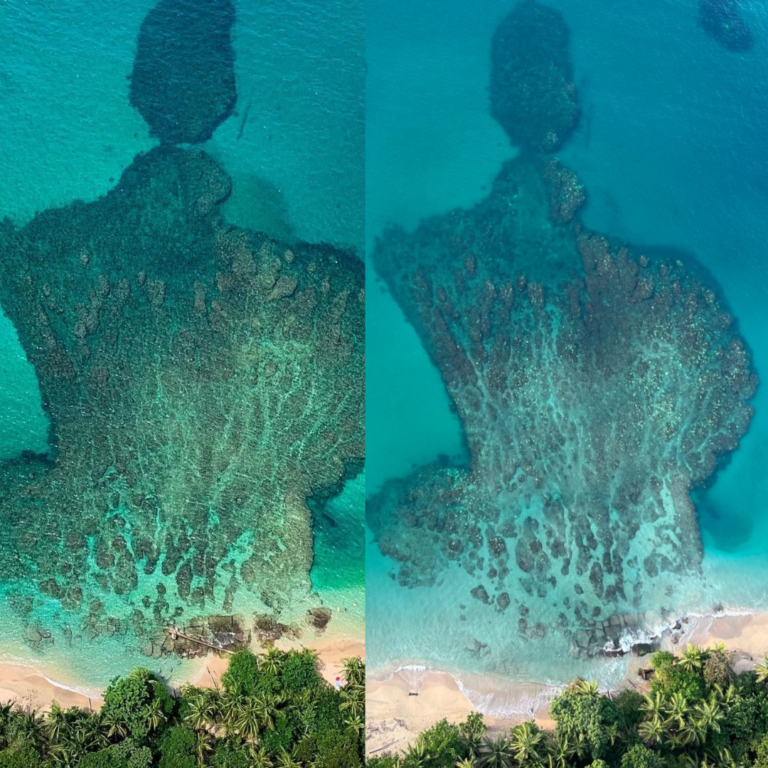 Arrecifes de coral del Caribe Sur se encuentran en grave peligro debido a blanqueamiento, alerta organización