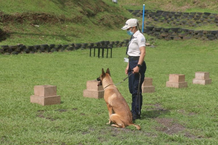 Perros de los cuerpos policiales ahora tendrán clínica veterinaria