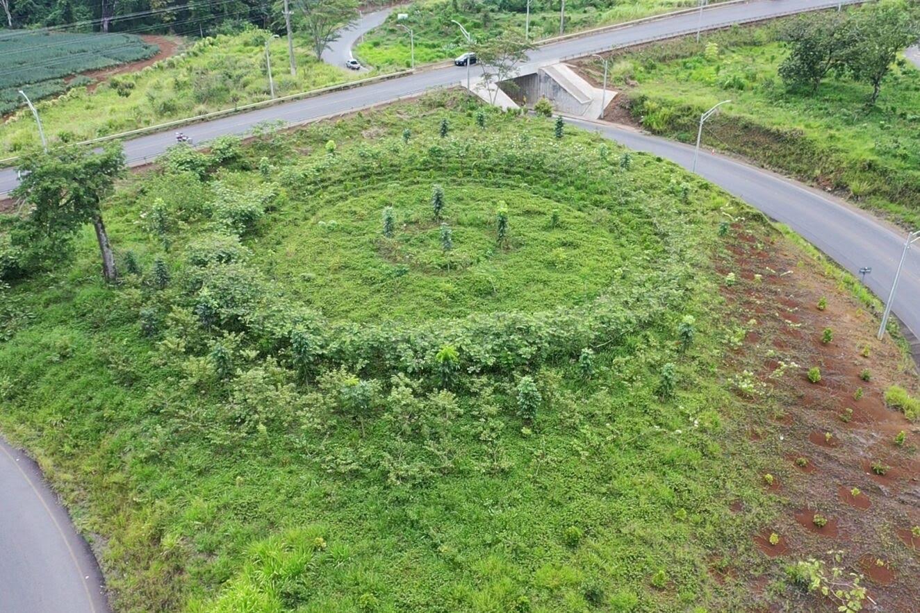 Imagen principal del artículo: Iniciativa busca recaudar fondos para crear bosques en el GAM