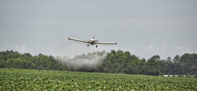 Uso de agroquímicos: cifras alarmantes y poca voluntad política