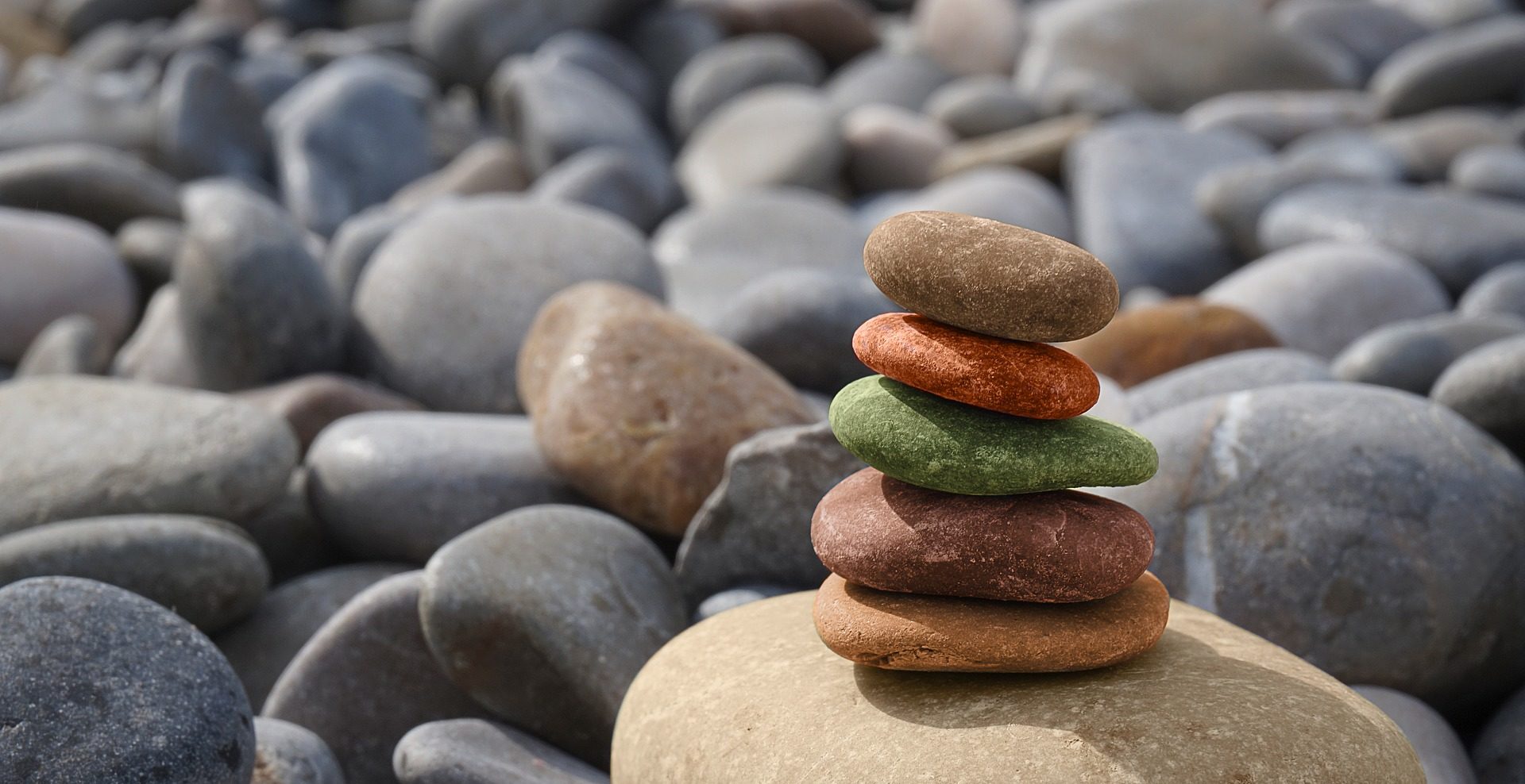 Imagen principal del artículo: Ikigai