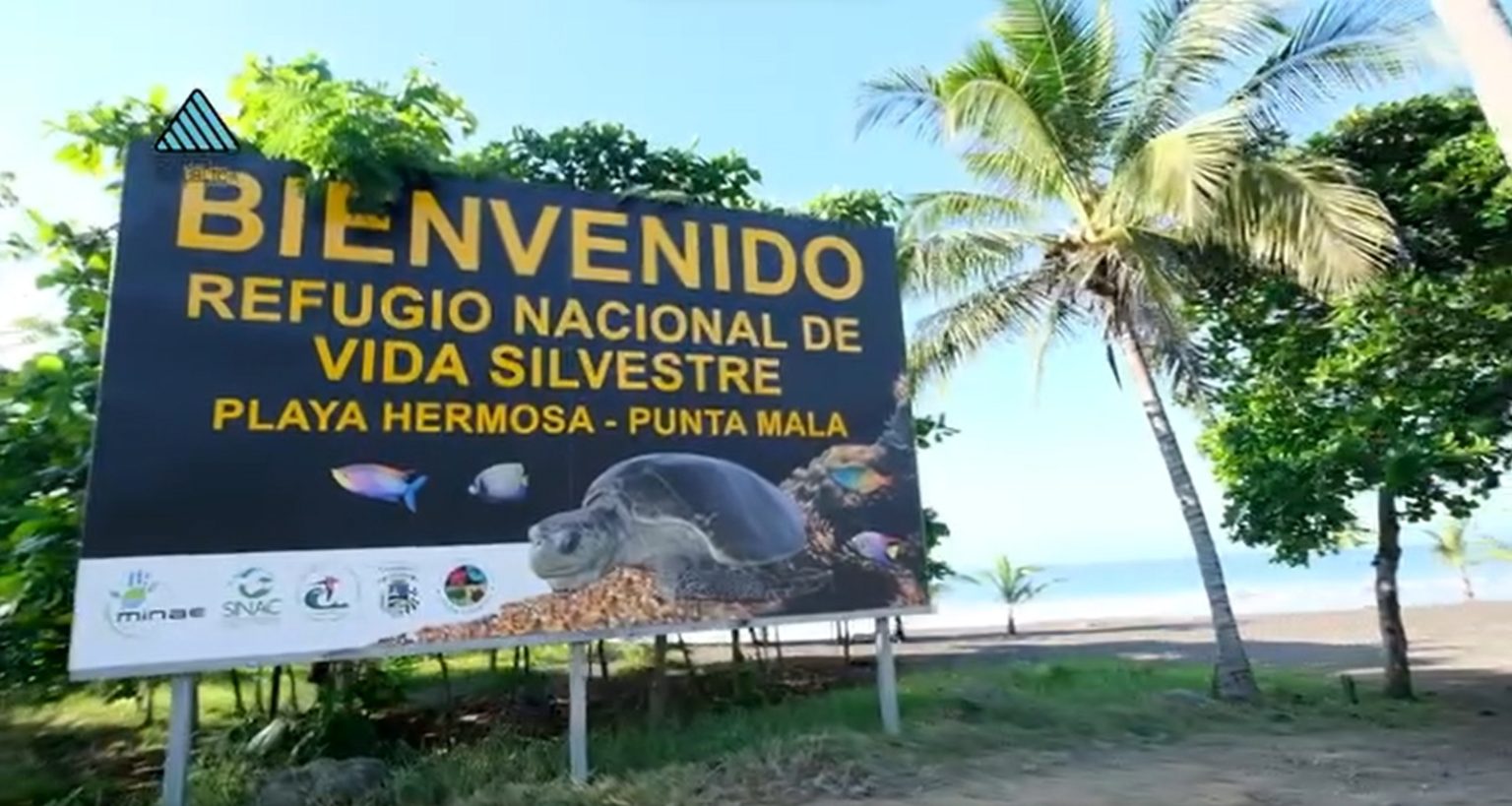 Imagen principal del artículo: Sala IV ordena a Minae atender descuido de infraestructura y personal en Refugio de Vida Silvestre Playa Hermosa-Punta Mala