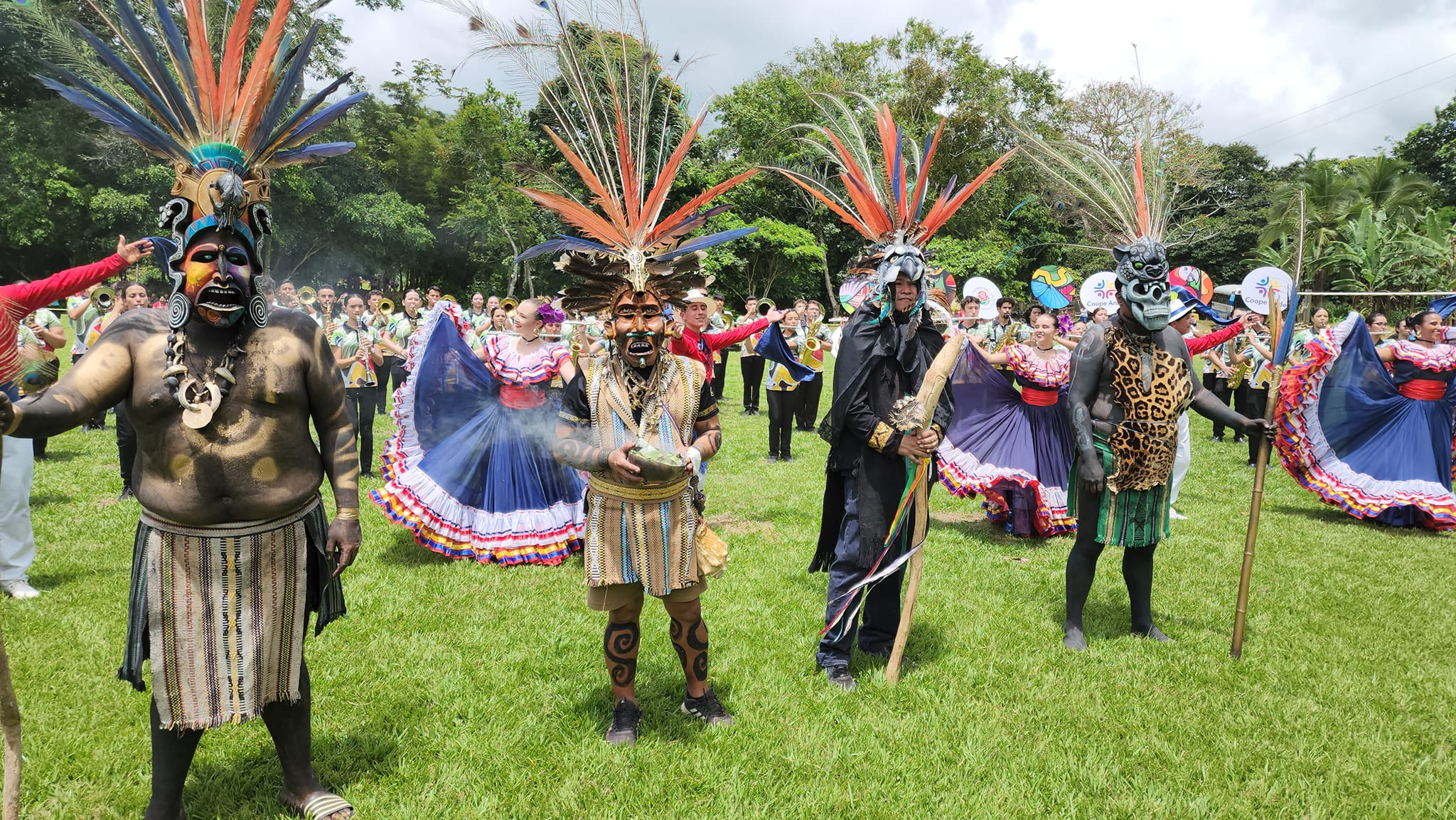 Imagen principal del artículo: De rosas y espinas