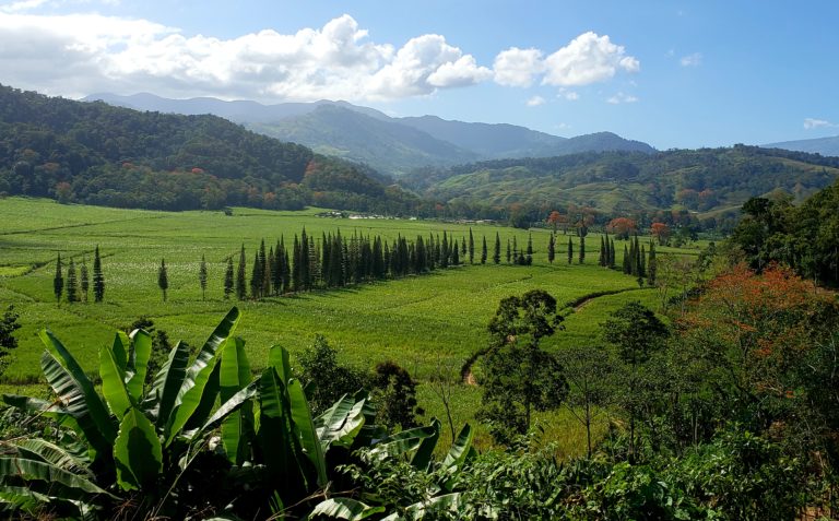 New York Times recomienda El Camino de Costa Rica en su guía de destinos 2024