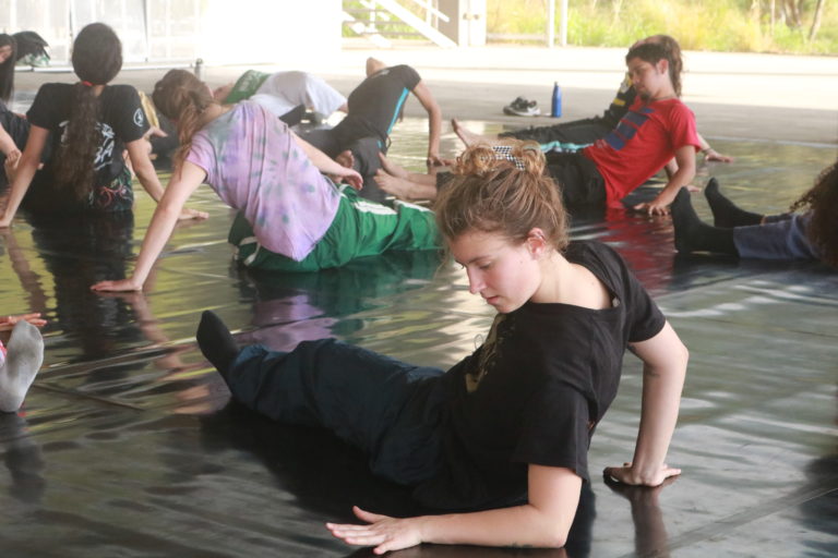 Festival Revés ofrecerá talleres en distintas disciplinas artísticas del movimiento
