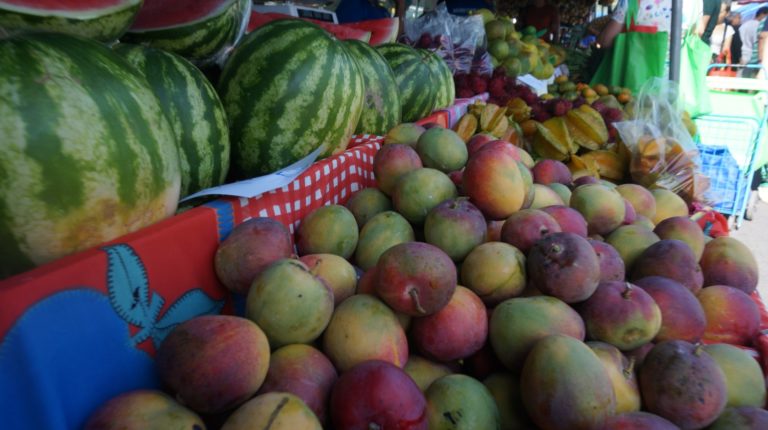 ¿Están en peligro las ferias del agricultor? Preparan manifestación para este 30 de enero