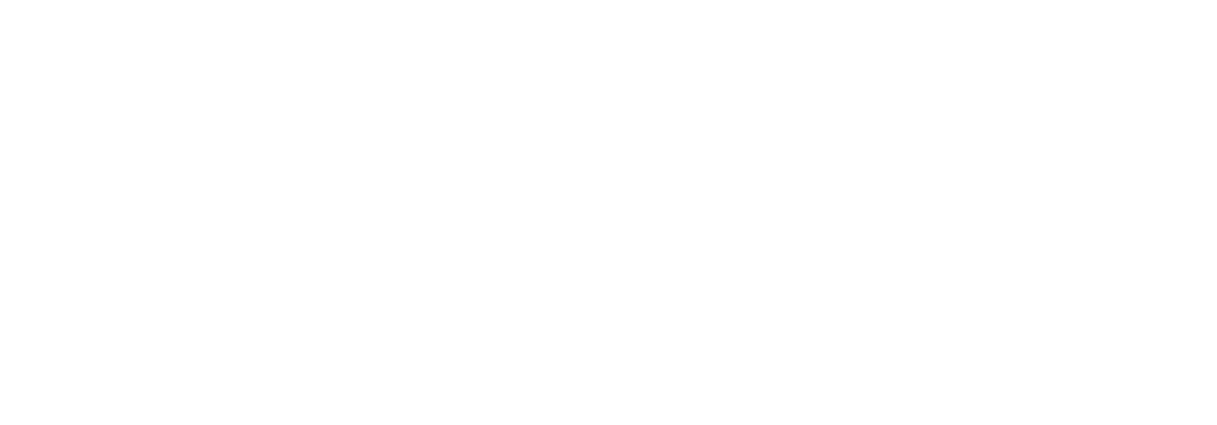 Sponsor