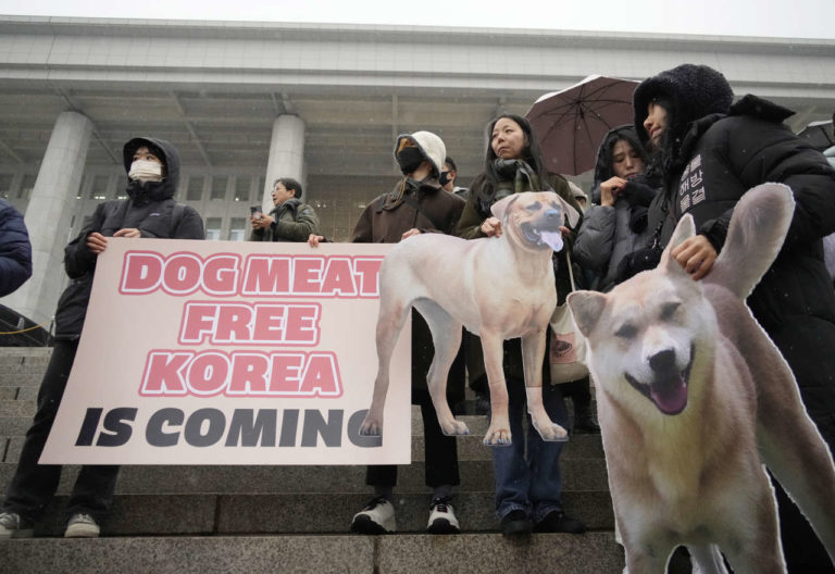 Corea del Sur prohíbe la industria de la carne de perro