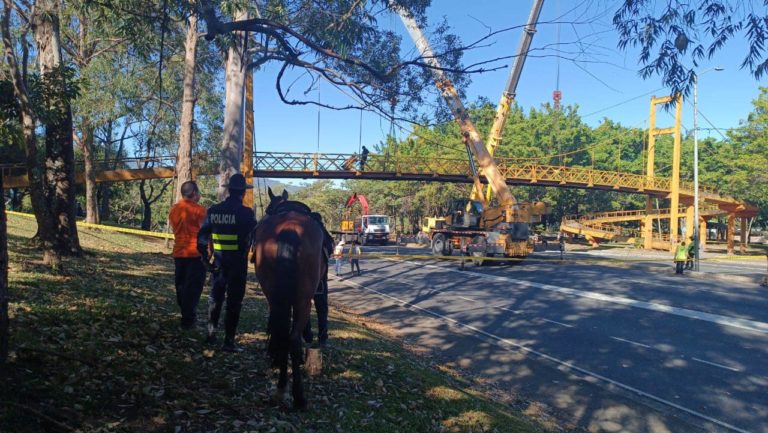 Paso por Circunvalación fue reabierto tras retiro de puente peatonal dañado