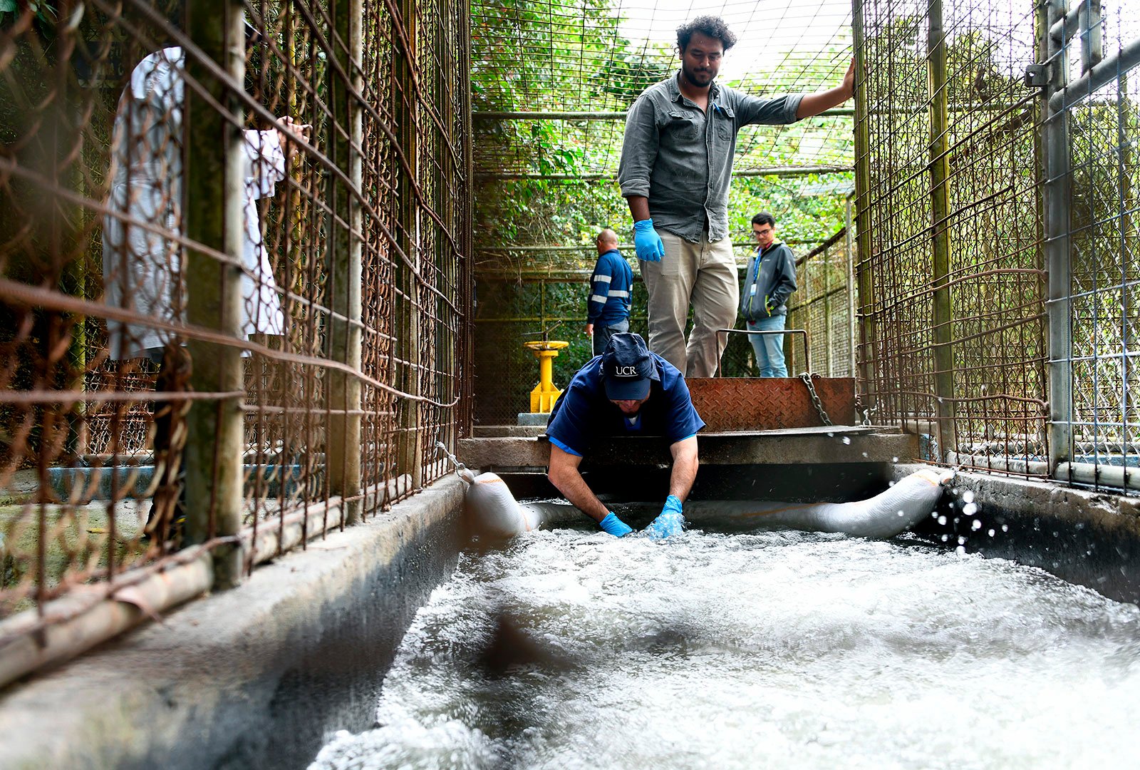 Imagen principal del artículo: ¿Qué tan peligrosos son los xilenos encontrados en el agua contaminada de la GAM?