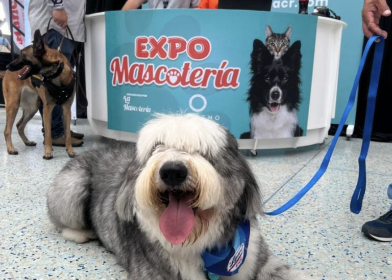 “Expo Mascotería” regresa este fin de semana a Oxígeno con actividades para los amantes de las mascotas