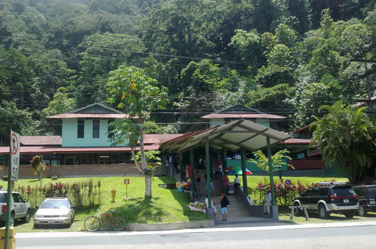 Ministerio de Salud detecta primer caso de gusano barrenador en una persona