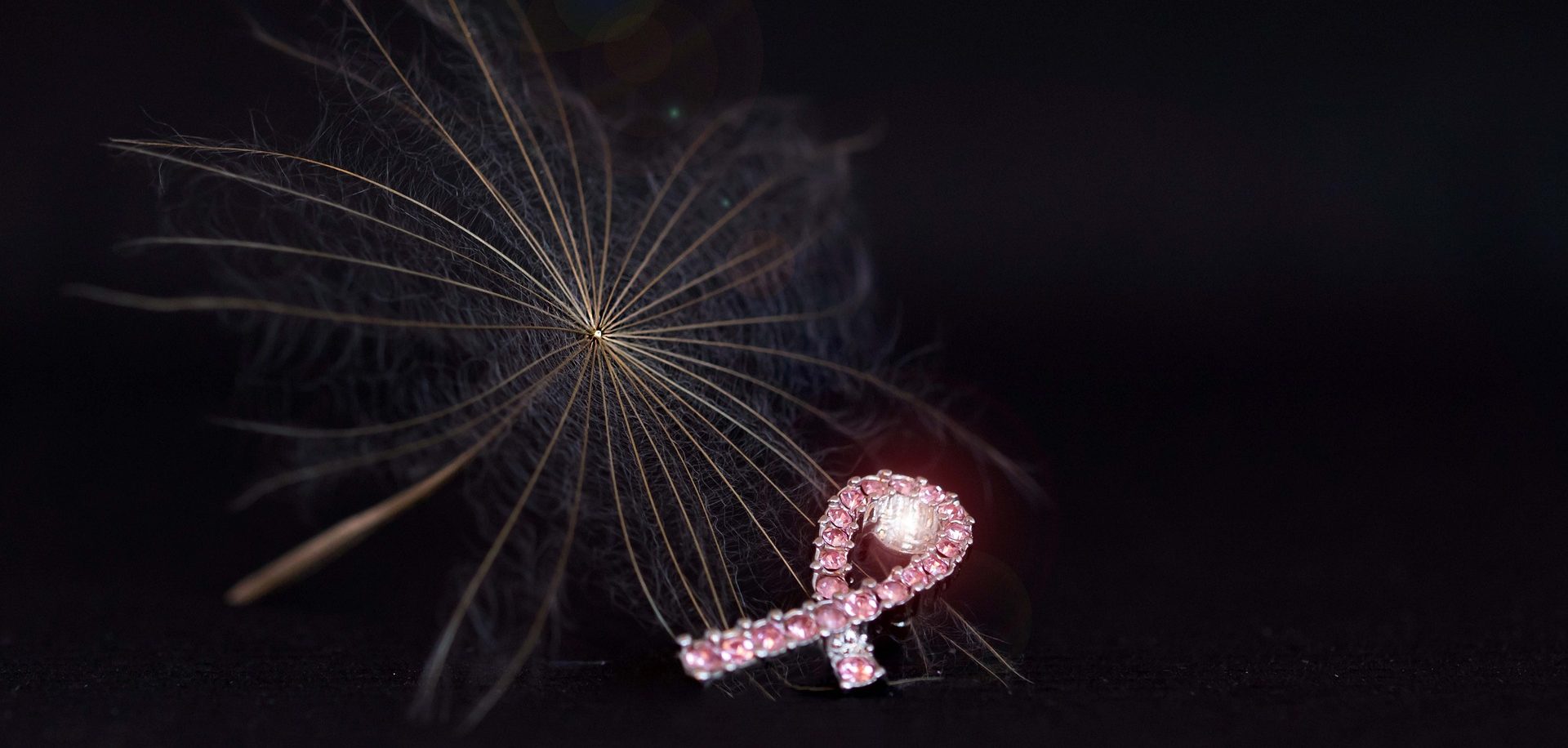 Imagen principal del artículo: Comunicación y cáncer