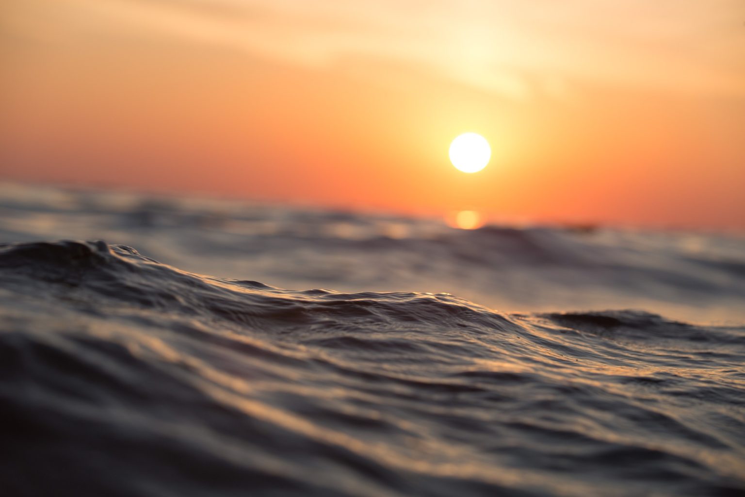 Imagen principal del artículo: Naufragan millones de dólares en el mar: el desalentador rumbo del proyecto de pesca sostenible en Costa Rica