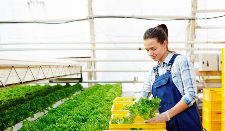 Buscan mipymes y empresas del sector agro para programa que dará capital semilla por hasta $20 mil