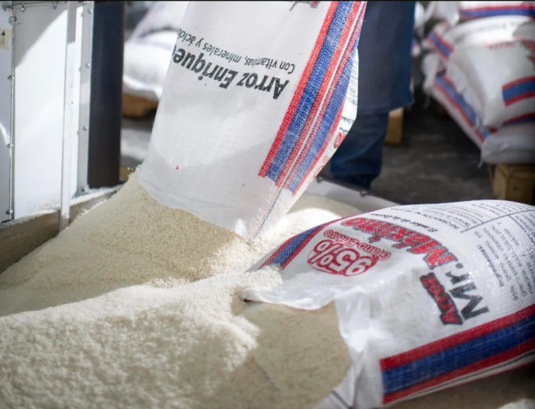 Importadora objeta proyecto para reinstaurar arancel al arroz importado