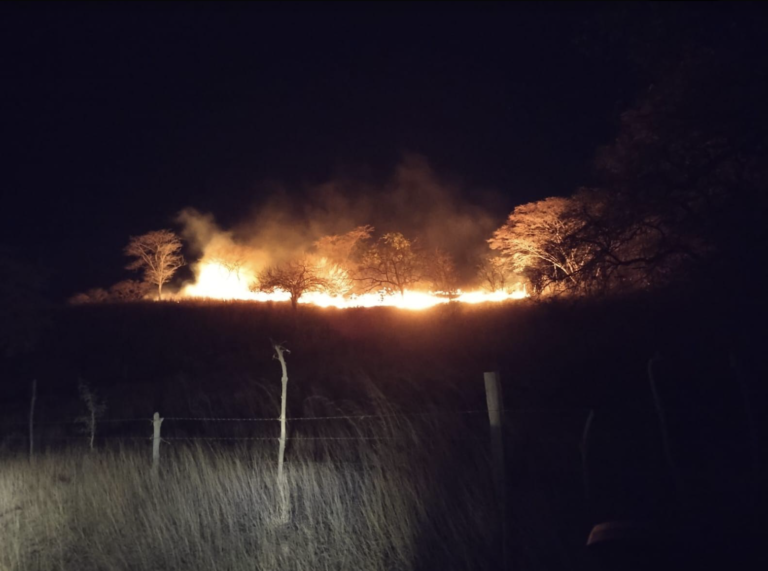 Campaña “Yo protejo los bosques” hace un llamado a prevenir los incendios forestales