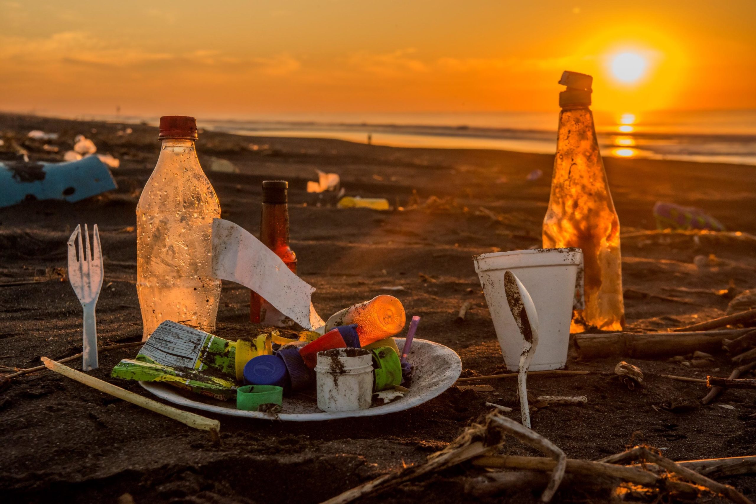 Imagen principal del artículo: ¿Es posible un verano sin plástico desechable?