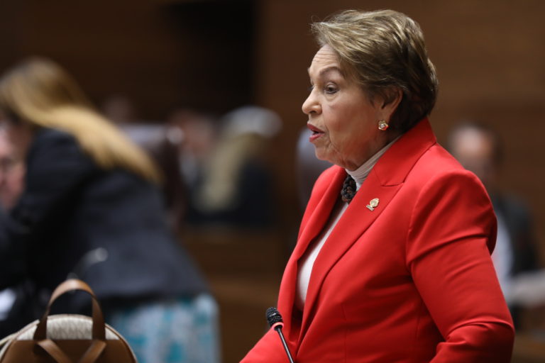 Diputada propone autorizar al Estado a colaborar y hacer donaciones a la Fundación Chepe se Baña