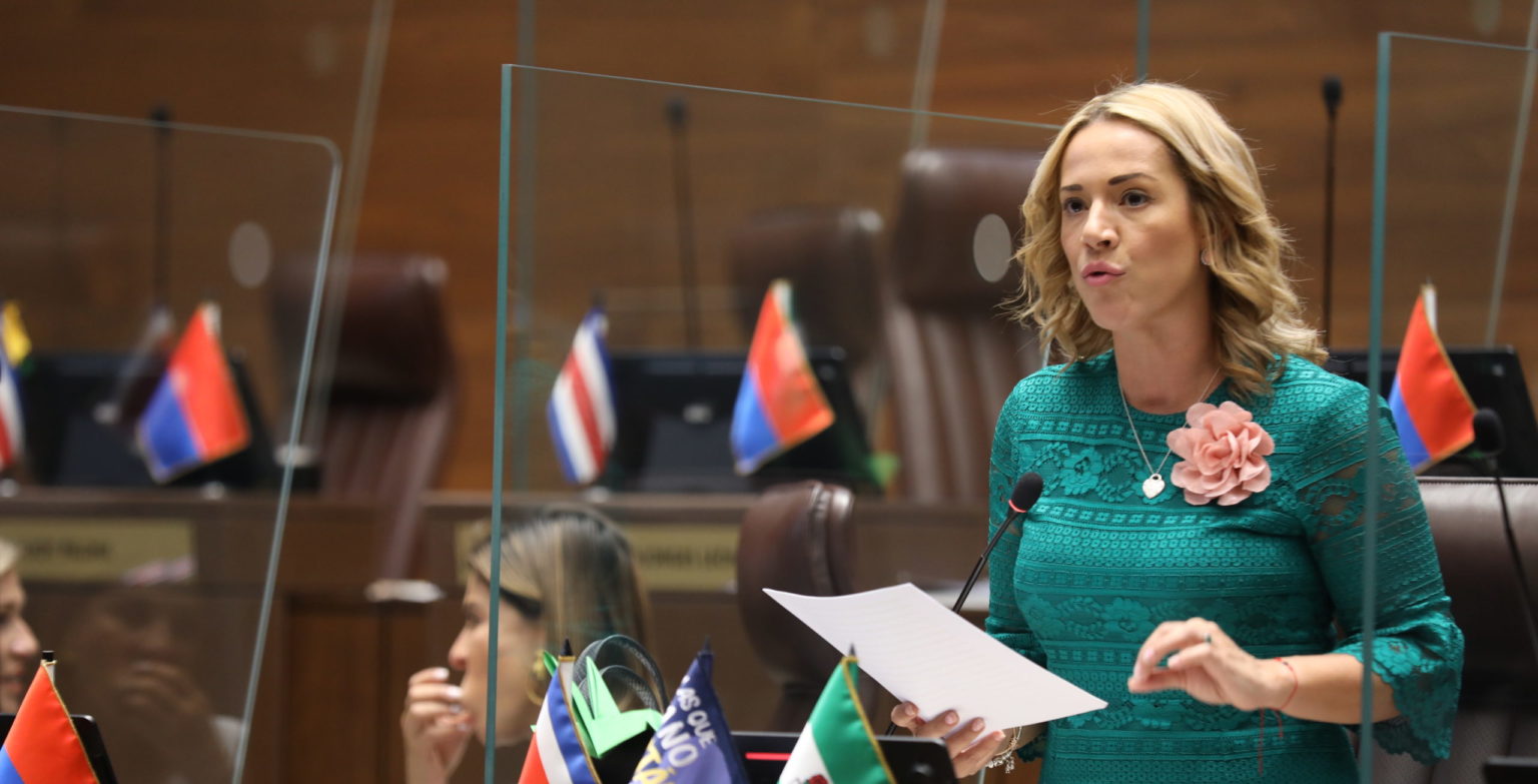 Imagen principal del artículo: Diputada del PLN propone proyecto para proteger el patrimonio de las víctimas de violencia de género y sus herederos