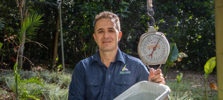 Monteverde transforma residuos en abono orgánico a gran escala