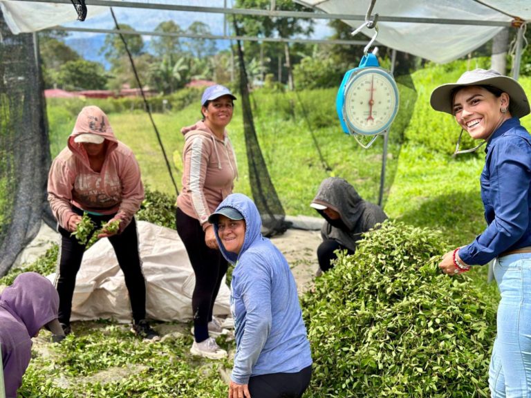 Mujeres de Centroamérica posicionan sus ideas de negocio para una recuperación verde