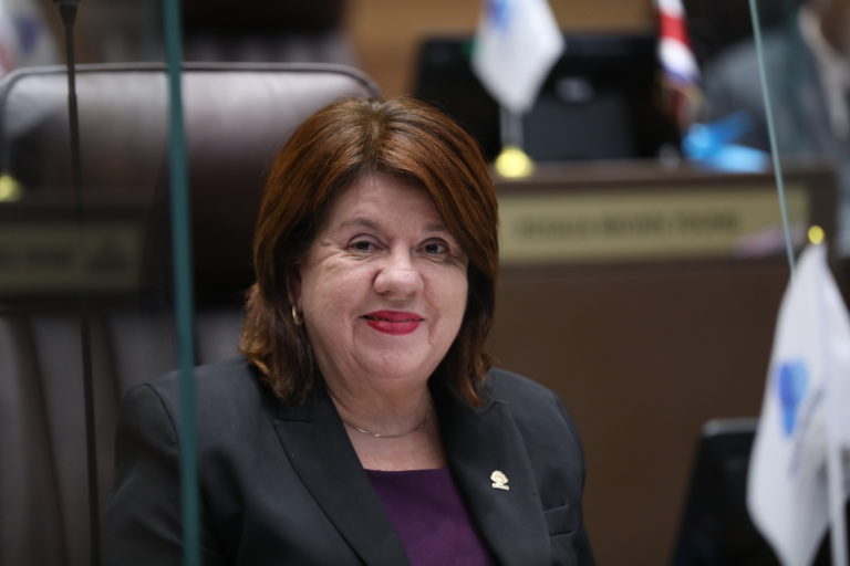 Diputada de Nueva República propone crear Ministerio de Desarrollo Social