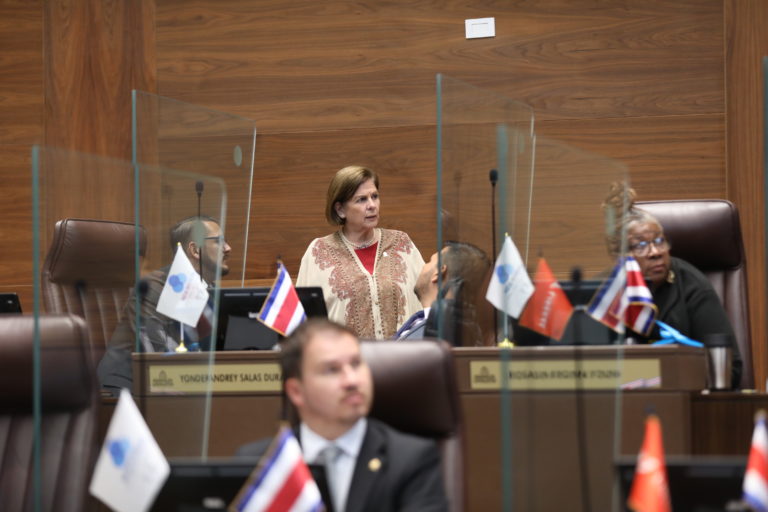 Pilar Cisneros pide bajar ritmo de la Comisión de Seguridad: "He hablado con varios asesores que están fundidos"
