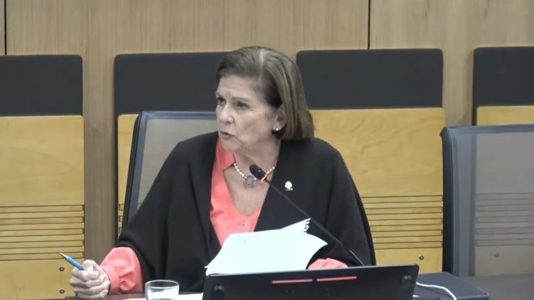 Oficialismo llena de mociones proyecto del PLP que propone crear un parque urbano en Santa Ana