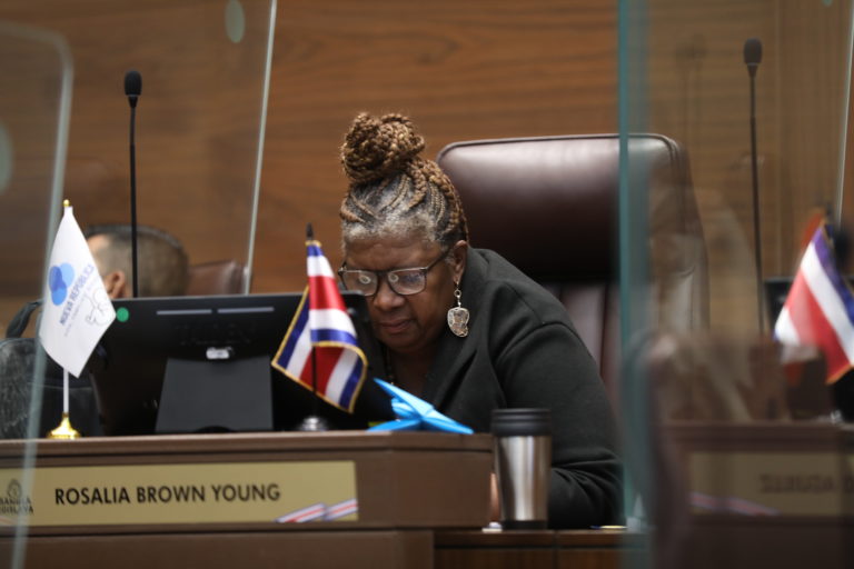 Nueva República postula a Rosalía Brown como presidenta del Congreso para "mejorar las relaciones" con el Ejecutivo