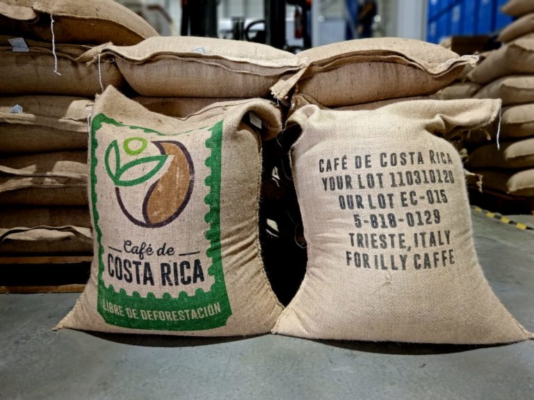 Primer café costarricense libre de deforestación fue exportado a Italia