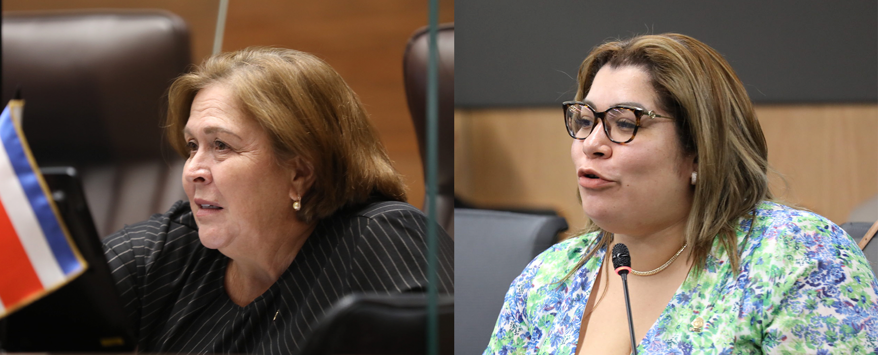 Imagen principal del artículo: Fracción PLN sobre viaje a Rusia: "Las relaciones internacionales del país le corresponden a la Cancillería"