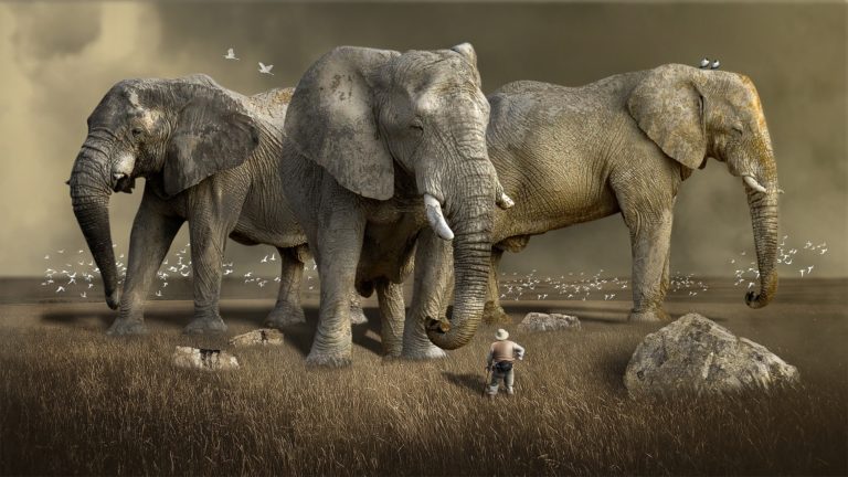 ¿Cómo matar un elefante a pellizcos? O consecuencias de la simpleza