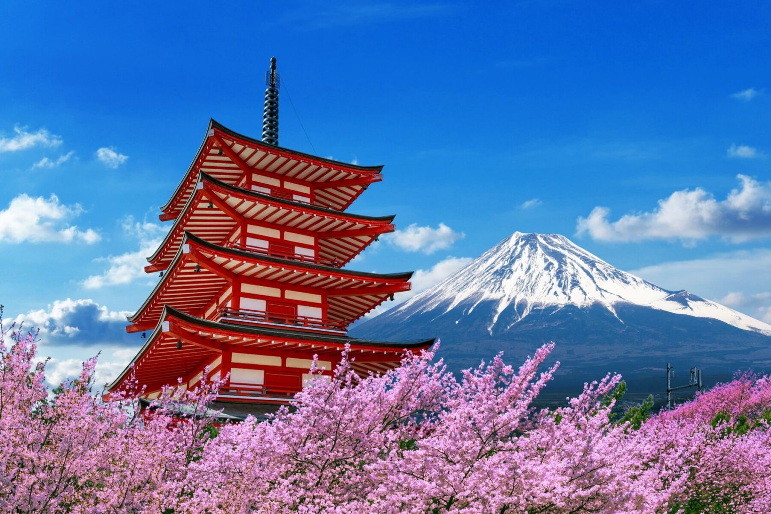 Imagen principal del artículo: Abren convocatoria de becas para realizar estudios universitarios en Japón