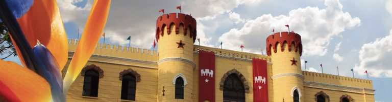 Museo de los Niños tendrá una feria de orquídeas gratuita este fin de semana